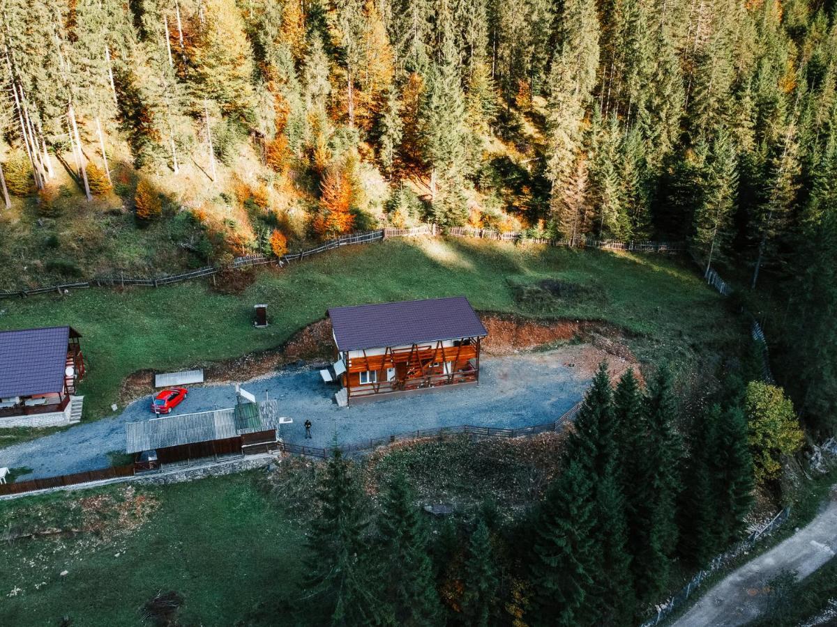 Pensiunea Izabel Lacu Rosu Exterior foto
